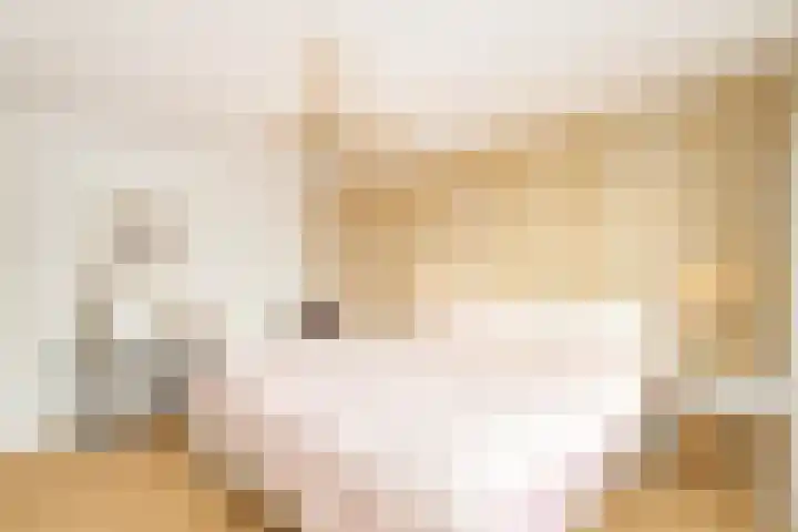 Klokjeslaan 84 Maarssen thumbnail 28