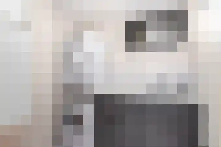 Klokjeslaan 84 Maarssen thumbnail 35