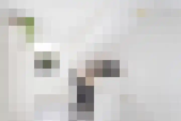 Klokjeslaan 84 Maarssen thumbnail 36