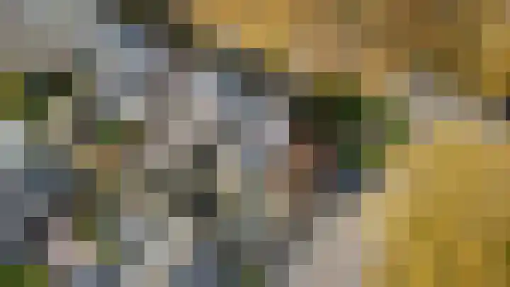 Klokjeslaan 84 Maarssen thumbnail 46