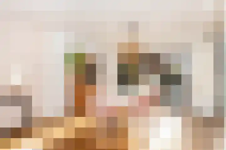 Klokjeslaan 84 Maarssen thumbnail 9