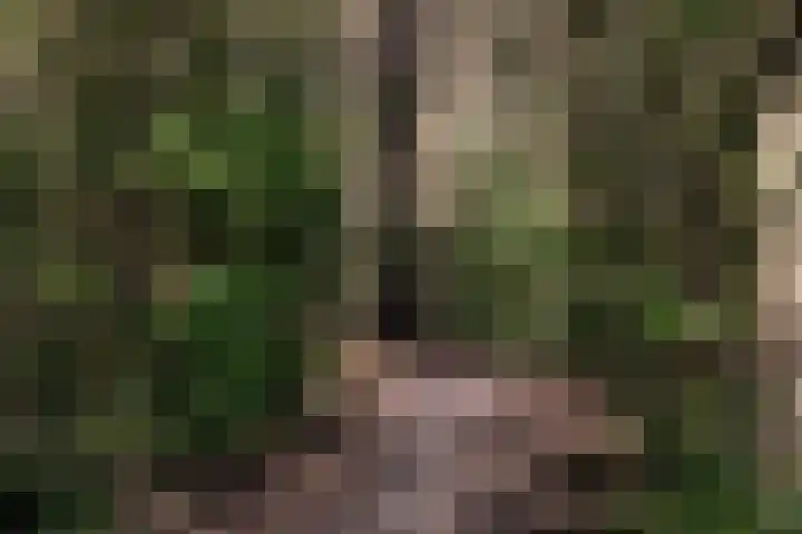Klokkegat 14 Lunteren thumbnail 33