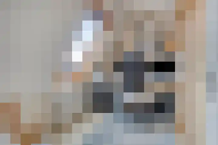 Klokkegat 25 Lunteren thumbnail 18