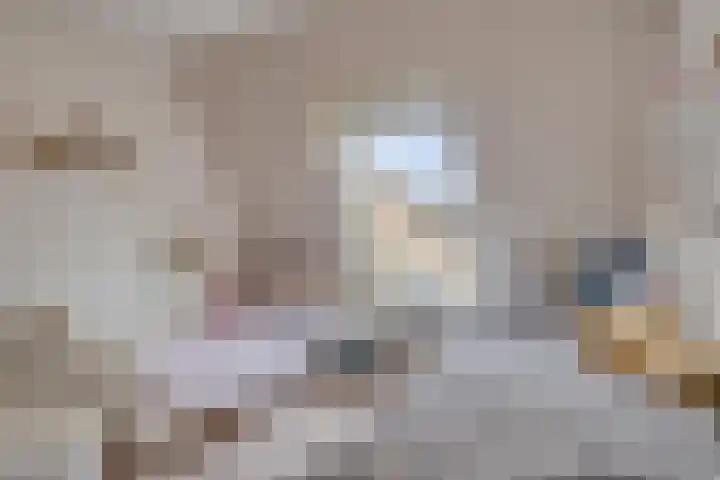 Klokkegat 25 Lunteren thumbnail 25