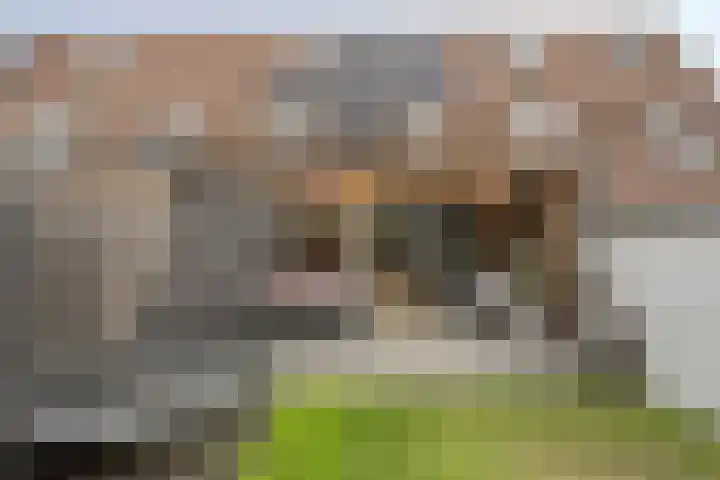 Klokkegat 25 Lunteren thumbnail 33