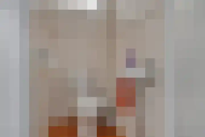 Klokkegat 25 Lunteren thumbnail 6