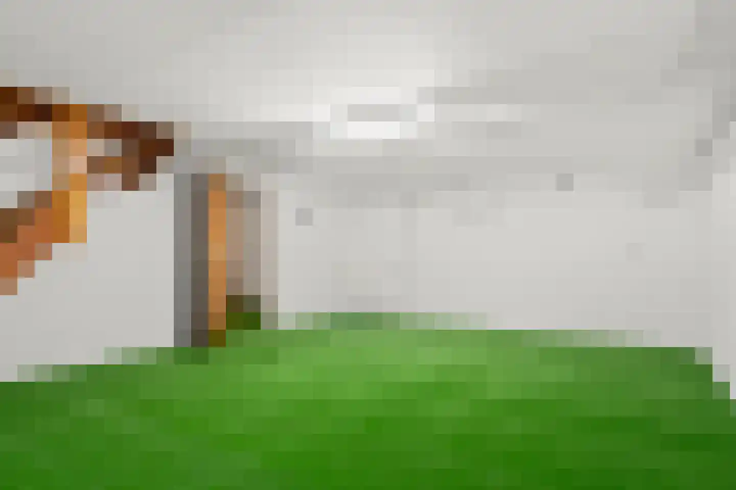 Klokkegat 36 Lunteren thumbnail 30