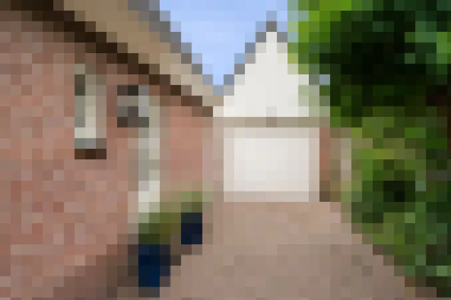 Klokkegat 36 Lunteren thumbnail 7