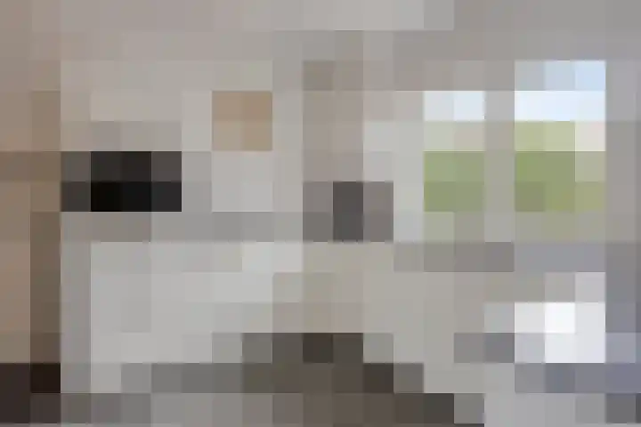 Klokkegat 49 A Lunteren thumbnail 13
