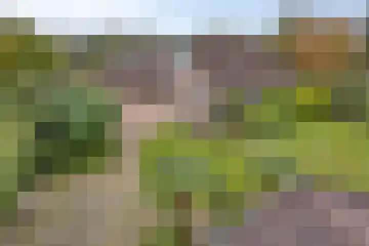 Klokkegat 49 A Lunteren thumbnail 26