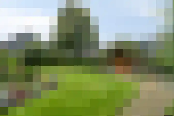 Klokkegat 49 A Lunteren thumbnail 29