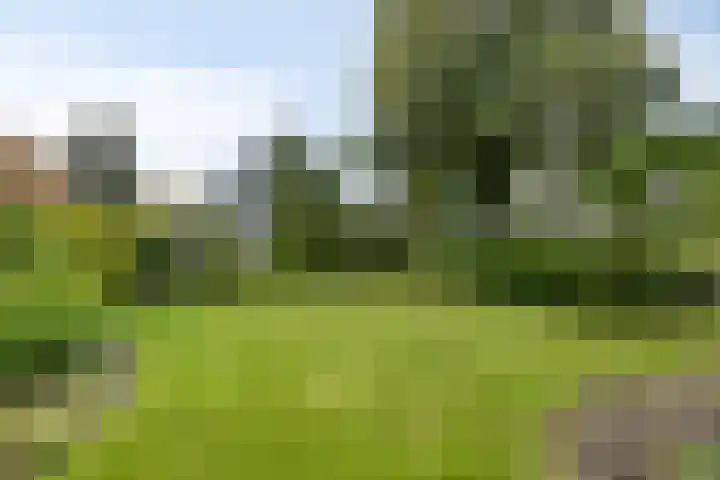 Klokkegat 49 A Lunteren thumbnail 31