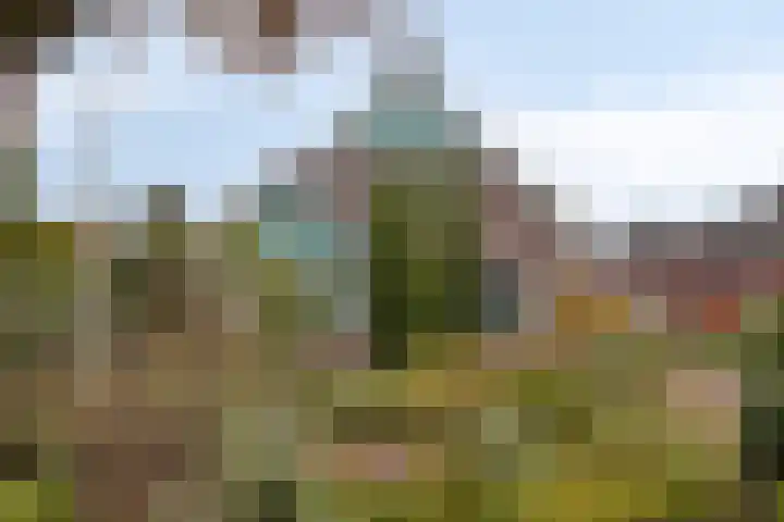 Klokkegat 49 A Lunteren thumbnail 32