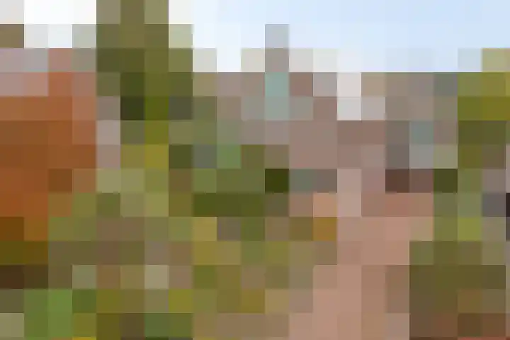Klokkegat 49 A Lunteren thumbnail 33