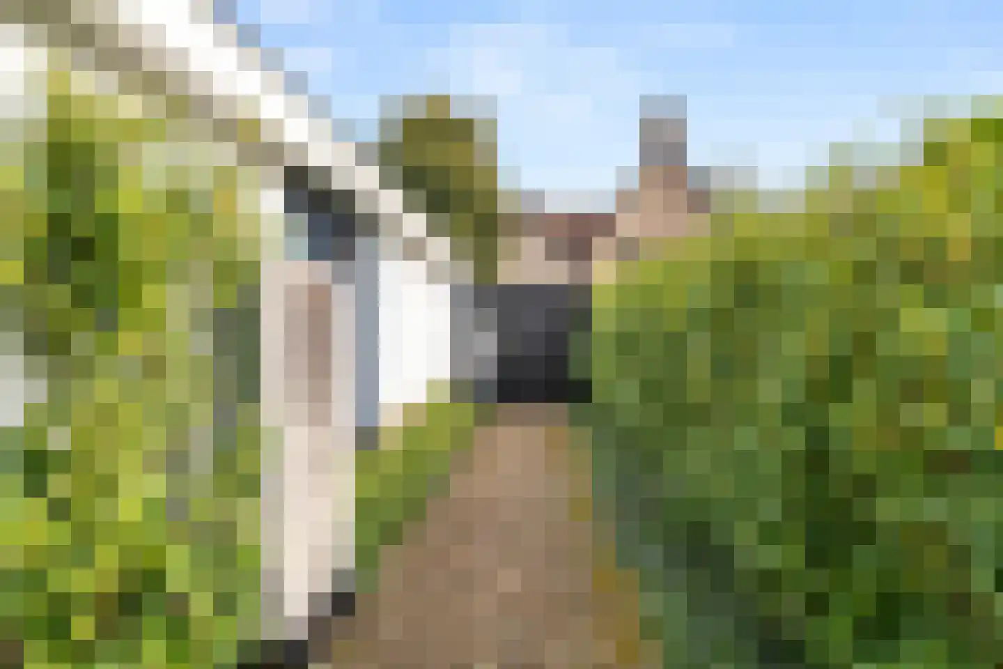 Klokkegat 57 Lunteren thumbnail 41