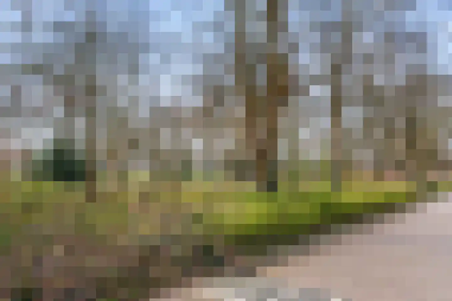 Klokkegat 57 Lunteren thumbnail 43