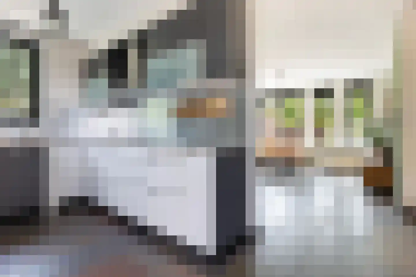 Klokkemakerstraat 18 Well L thumbnail 11