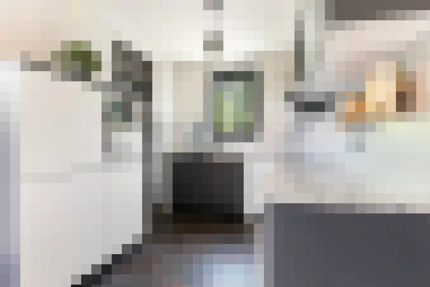 Klokkemakerstraat 18 Well L thumbnail 12