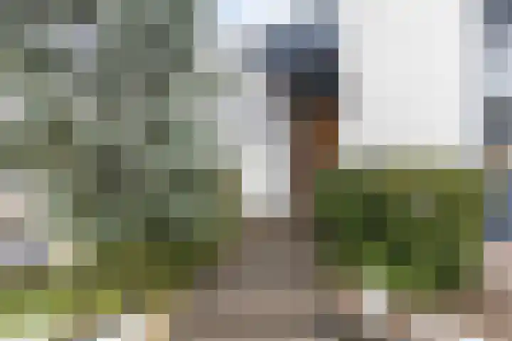 Klokkemakerstraat 6 Well L thumbnail 12