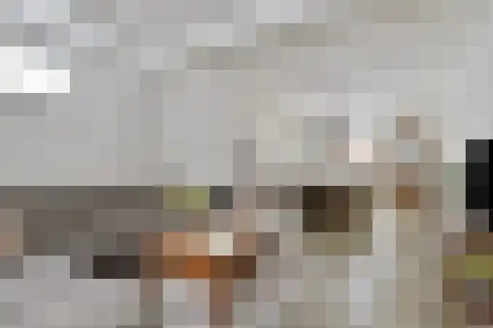 Klokkemakerstraat 6 Well L thumbnail 16