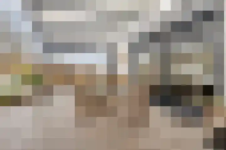 Klokkemakerstraat 6 Well L thumbnail 38