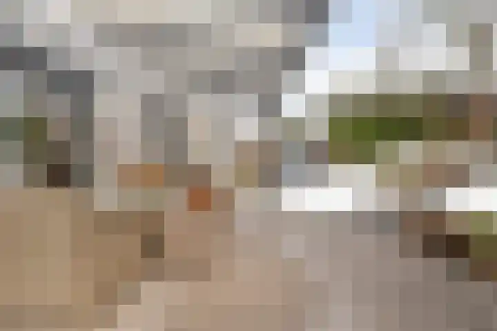 Klokkemakerstraat 6 Well L thumbnail 39