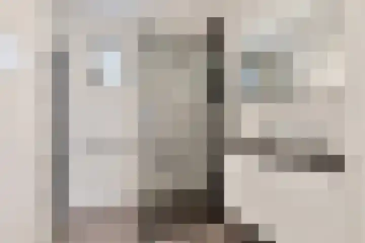 Klokkemakerstraat 6 Well L thumbnail 4