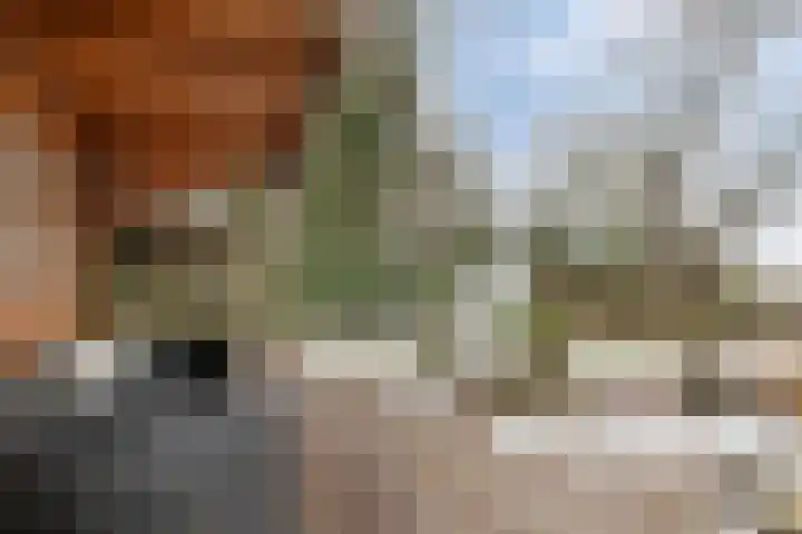 Klokkemakerstraat 6 Well L thumbnail 43