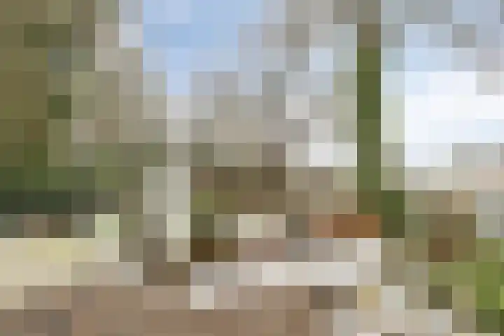 Klokkemakerstraat 6 Well L thumbnail 45