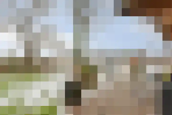 Klokkemakerstraat 6 Well L thumbnail 46