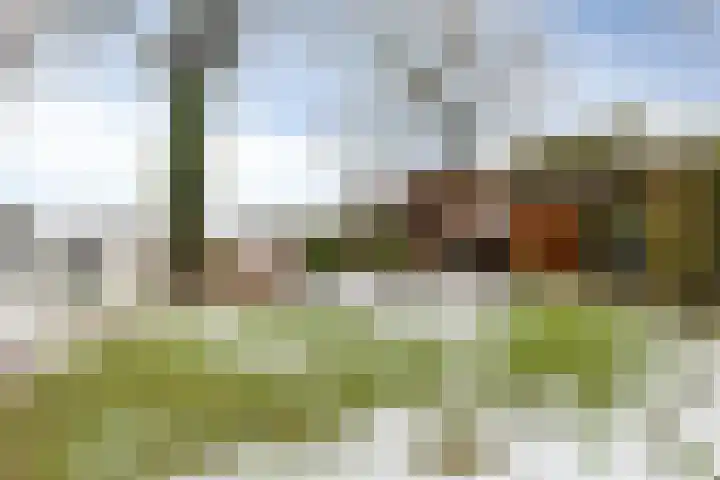 Klokkemakerstraat 6 Well L thumbnail 47