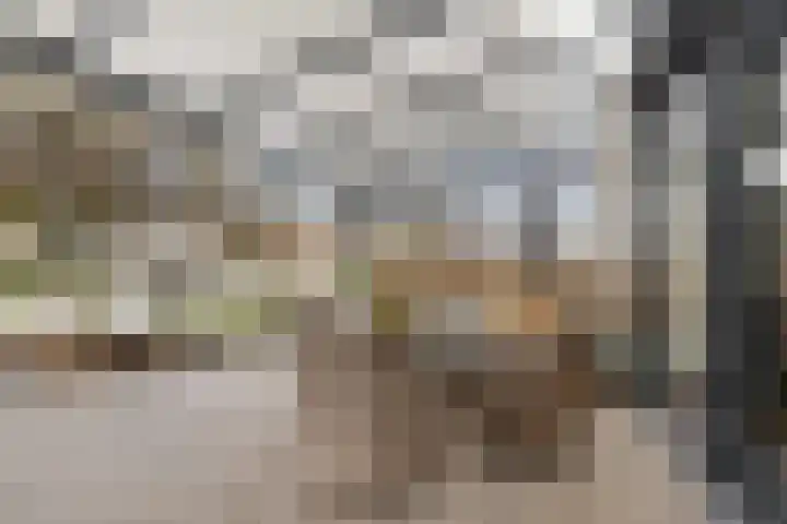 Klokkemakerstraat 6 Well L thumbnail 5