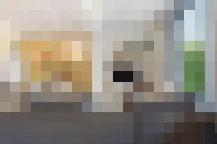 Klokkenberg 131 Breda thumbnail 13