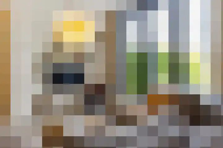 Klokkenberg 131 Breda thumbnail 24
