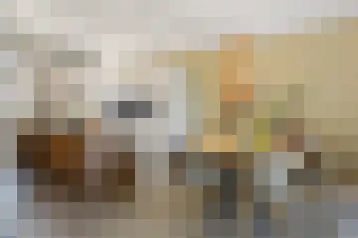 Klokkenberg 131 Breda thumbnail 25