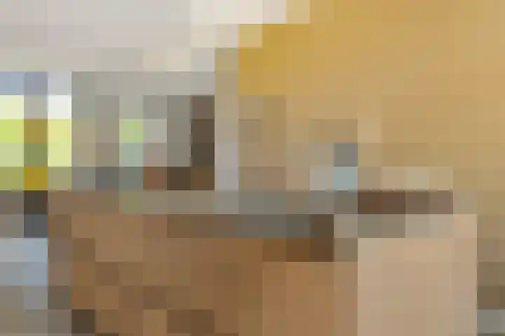 Klokkenberg 131 Breda thumbnail 28