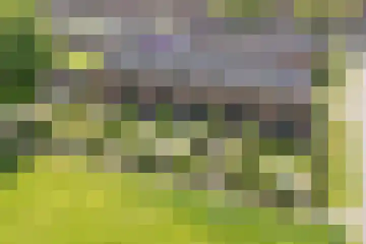 Klokkenberg 131 Breda thumbnail 5