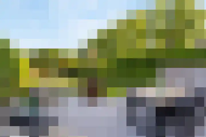 Klokkenberg 131 Breda thumbnail 59