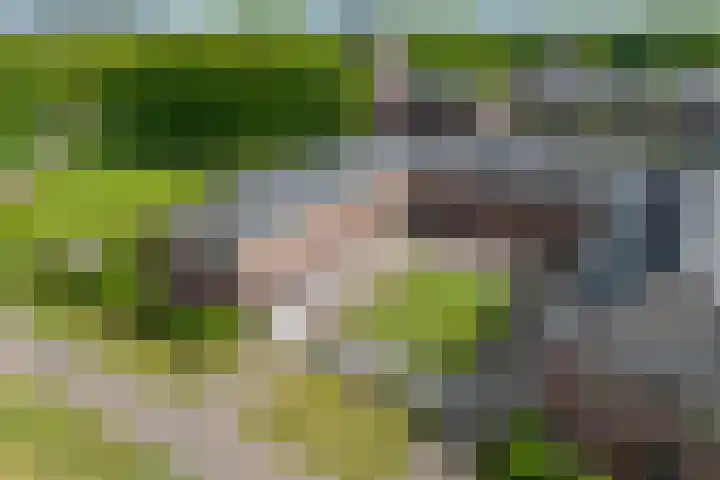 Klokkenberg 131 Breda thumbnail 6