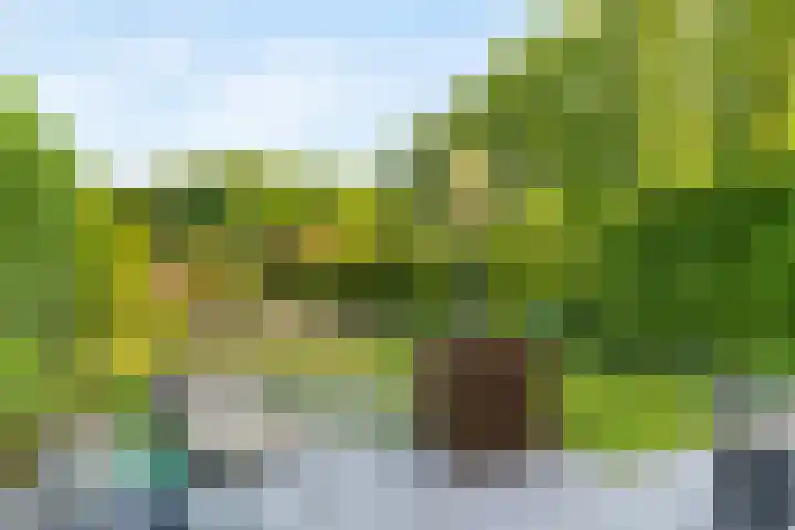 Klokkenberg 131 Breda thumbnail 60