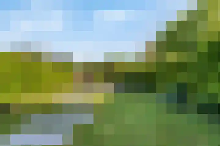 Klokkenberg 131 Breda thumbnail 63