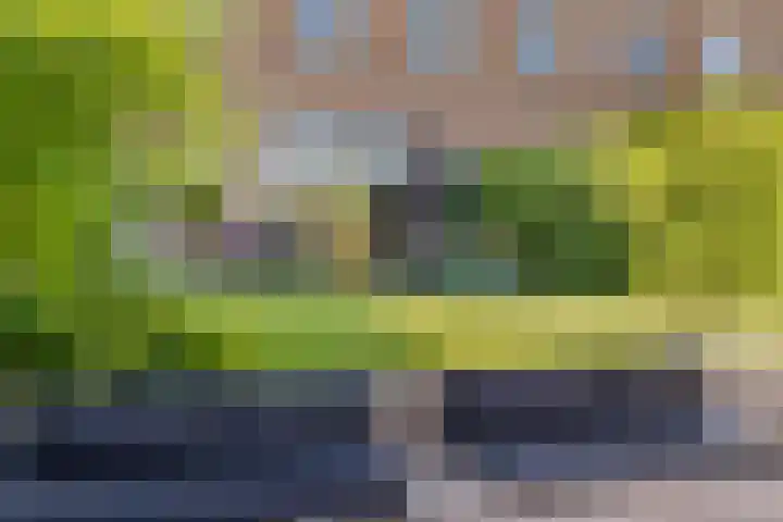 Klokkenberg 131 Breda thumbnail 65