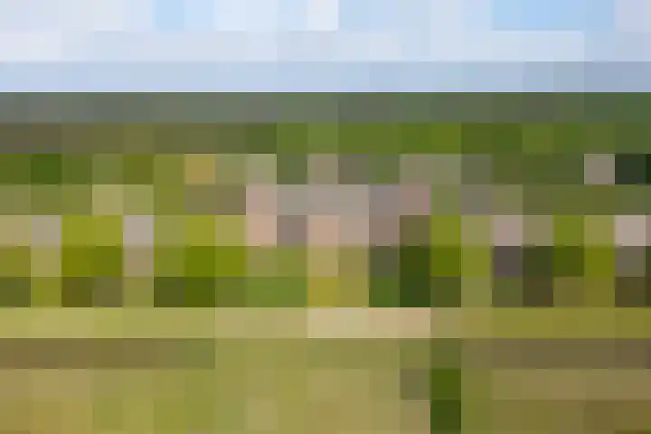 Klokkenberg 131 Breda thumbnail 75