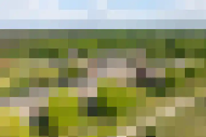 Klokkenberg 131 Breda thumbnail 76