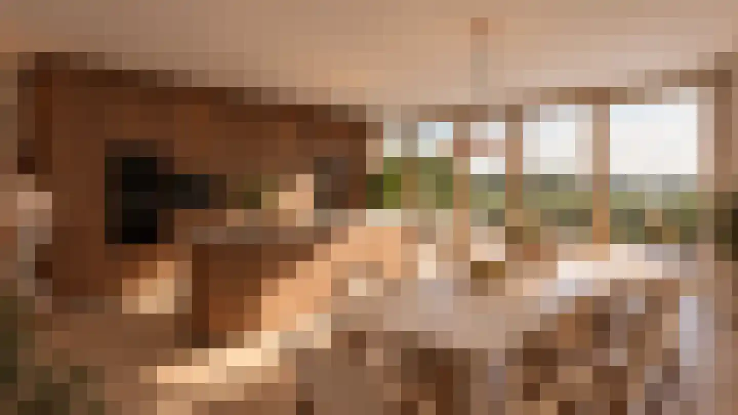 Klokkenberg 36 C Breda thumbnail 4