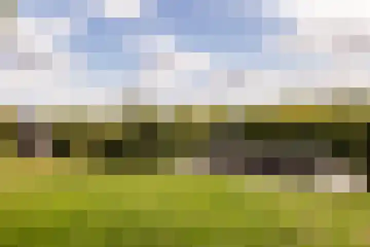 Klokkenberg 58 Breda thumbnail 4
