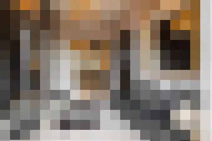 Klokkenberg 58 Breda thumbnail 5