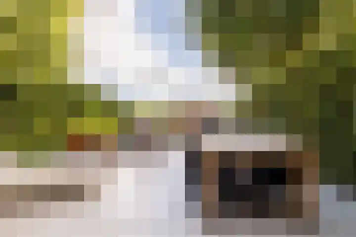 Klokkenberg 58 Breda thumbnail 58