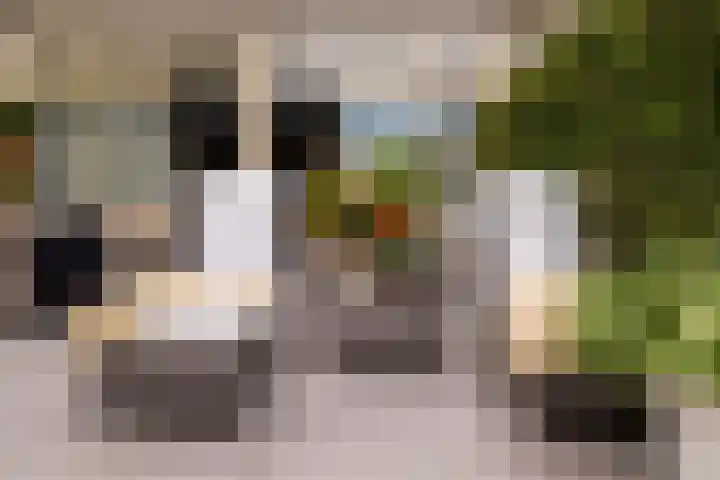 Klokkenberg 58 Breda thumbnail 59