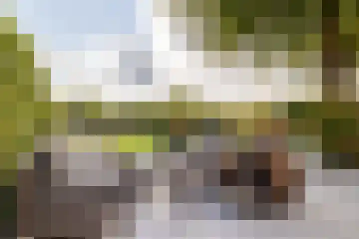 Klokkenberg 58 Breda thumbnail 62
